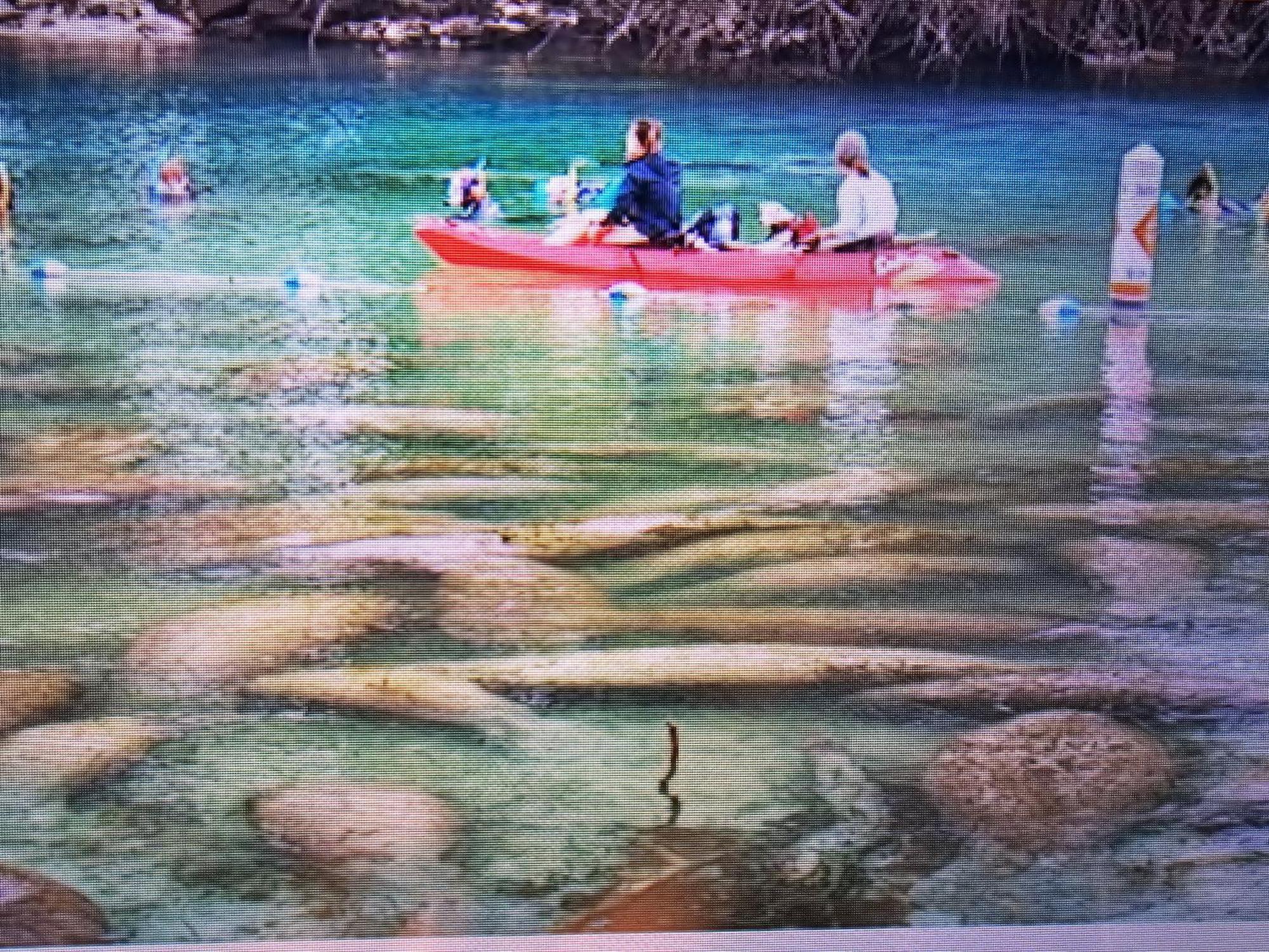 Manatee Watch Den Apartment Crystal River Exterior foto